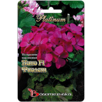 КОМ Пеларгония Нано Виолет карликов Биотехника Ц