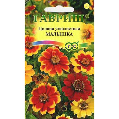 Циния Малышка карликовая Гавриш Ц