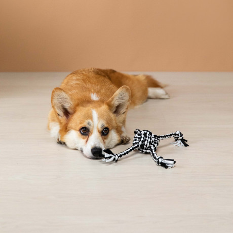 VETTA Игрушка для домашних животных, ПЭ, 35,5х7 см