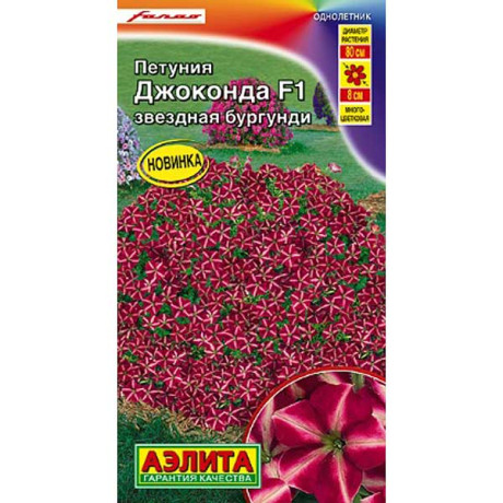 Петуния Джоконда Звездная бургунди(драже) Аэлита Ц