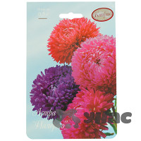 К Астра Палермо Каприс