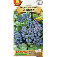 Голубика Аврора Аэлита Ц