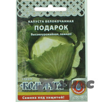 Капуста Подарок "Кольчуга" НК
