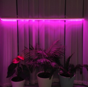 Ultraflash фито св-к св/д для рассады и раст 18W 20мкмоль/с, кр-синий, выкл. L=1170  LWL-2014-02CL