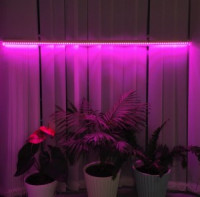 Ultraflash фито св-к св/д для рассады и раст 18W 20мкмоль/с, кр-синий, выкл. L=1170  LWL-2014-02CL