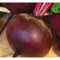 Свекла Мулатка-Шоколадка НК Ц