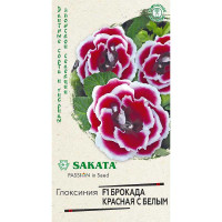 КОМ Глоксиния Брокада крас с белым гранул Гавриш Ц