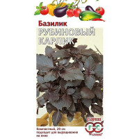 Базилик Рубиновый карлик Гавриш Ц