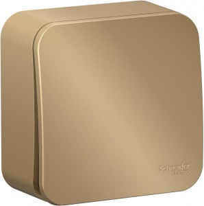 Systeme Electric BLANCA выкл. ОУ 1 кл. 10А титан (пл.осн.) BLNVA101004 (15!)