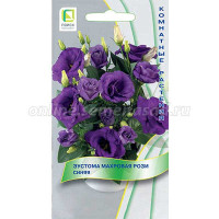 Эустома Рози Синяя Поиск Ц