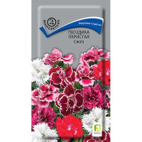 Гвоздика перистая Соната Поиск Ц