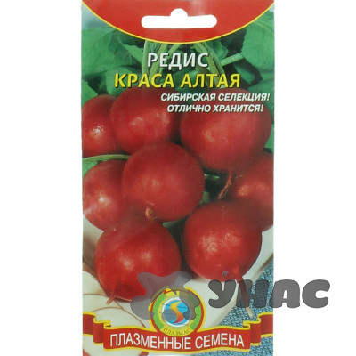 Редис Краса алтая Плазма Ц