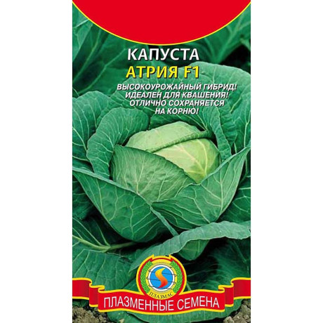 Капуста Атрия Плазма Ц