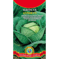 Капуста Атрия Плазма Ц