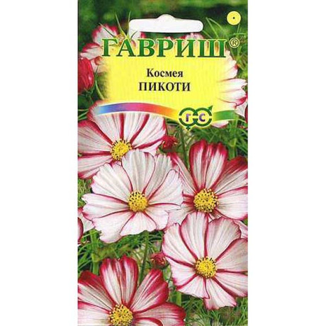Космея Пикоти Гавриш Ц