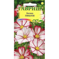 Космея Пикоти Гавриш Ц