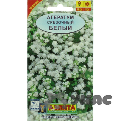 Агератум срезочный белый Аэлита Ц