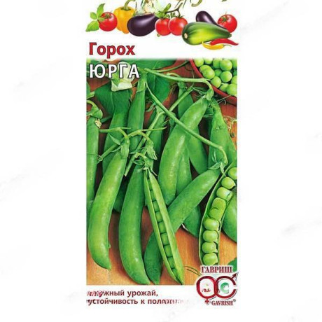 Горох Юрга Гавриш Ц