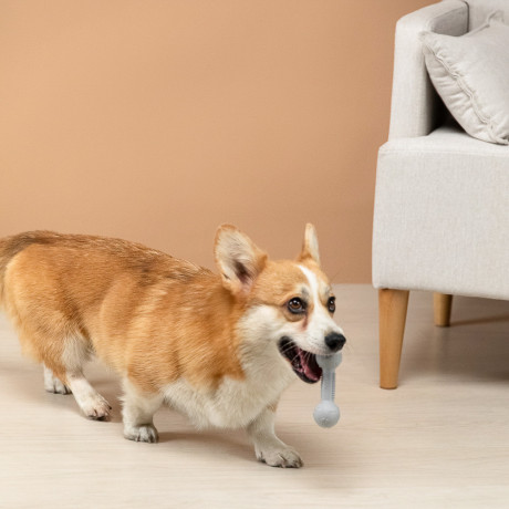 VETTA Игрушка для домашних животных, ТПР, 12 см