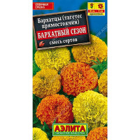 Бархатцы Бархатный сезон Аэлита Ц