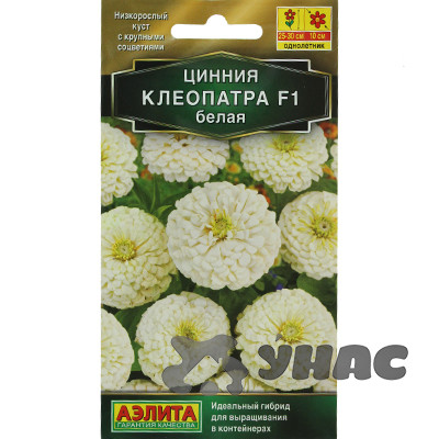 Циния Клеопатра белая Аэлита Ц