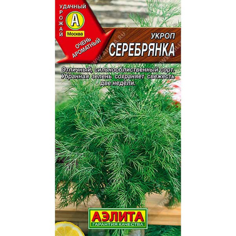 Укроп Серебрянка Аэлита Ц