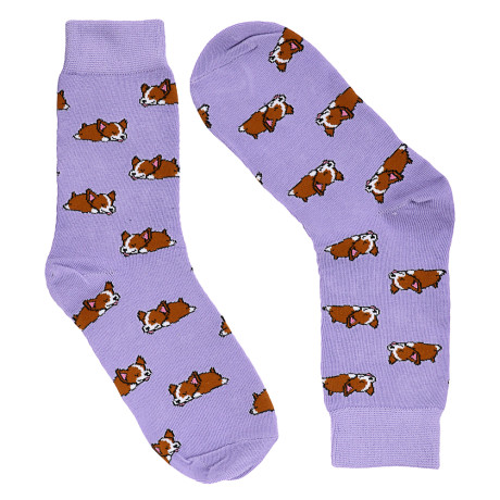 GALANTE Носки универсальные, р.25-27, 85% хлопок, 10% полиэстер, 5% спандекс, 6 диз, НВ22-20