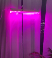 Ultraflash фито св-к св/д для рассады и раст 5W 6мкмоль/с, кр-синий, выкл. L=300 LWL-2014-01CL