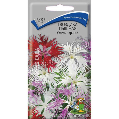 Гвоздика пышная Смесь Поиск Ц