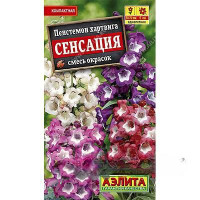 Пенстемон Сенсация Аэлита Ц х10