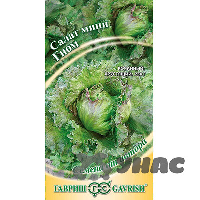 Салат Гном мини Гавриш  Ц