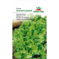 Салат Изумрудный листовой Седек Ц