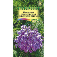 КОМ Жакаранда Фиалковое дерево Гавриш Ц