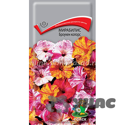 Мирабилис Броукен колорс Поиск Ц