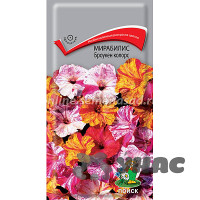 Мирабилис Броукен колорс Поиск Ц