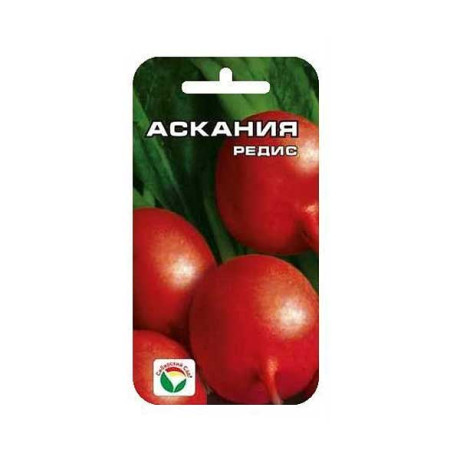 Редис Аскания СибСад Ц