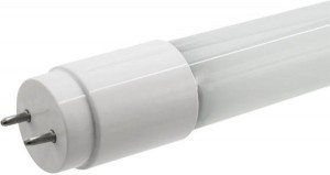 ФАЗА T8-600 G13 10W(800lm) 6500K 6K стекло мат  600x28 FLL .5032781