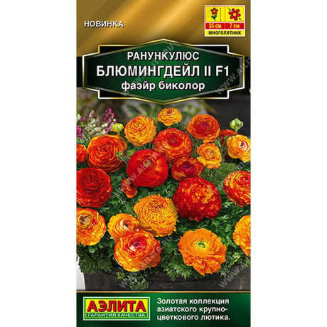 Ранункулюс Блюмингдейл фаэйр биколор Аэлита Цх10