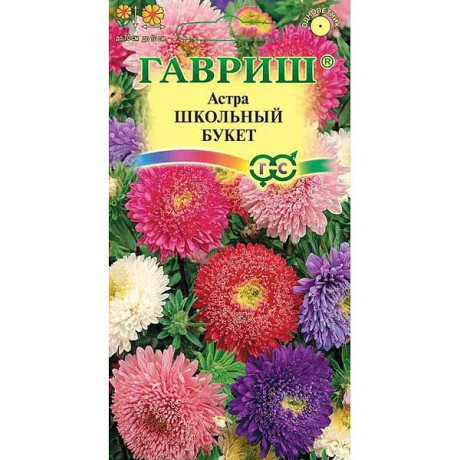 Астра Букет школьный  Гавриш Ц