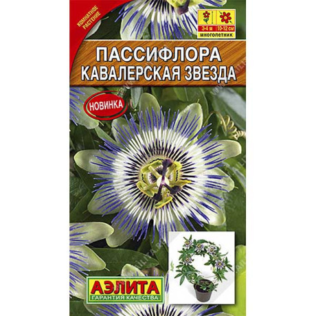 Пассифлора Кавалерская звезда Аэлита Ц
