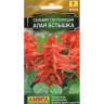 Сальвия Алая Вспышка Аэлита Ц