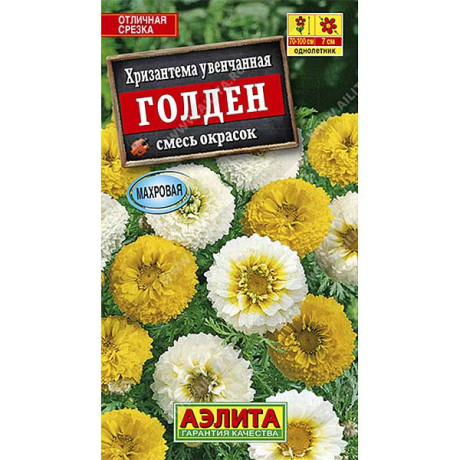 Хризантема Голден Увенчанная Аэлита Ц