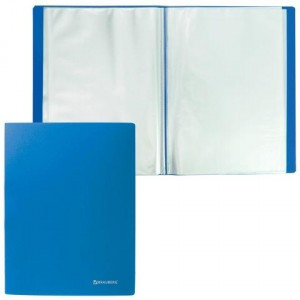 Папка 10 вклад. BRAUBERG "Бюджет" синяя, 0,5мм 222625