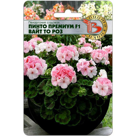 КОМ Пеларгония Пинто Премиум Вайт то Роз Биотехника Ц