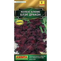 Колеус блюме Блэк дракон Аэлита Ц