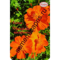 К Космея Оранжевое настроение Каприс