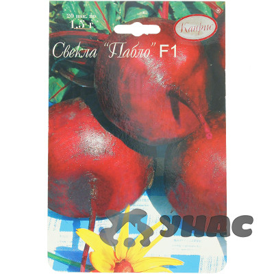 Свекла Пабло (Нидерланды) Каприс