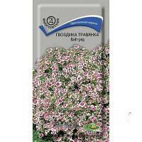 Гвоздика травянка Вайт-Ред Поиск Ц