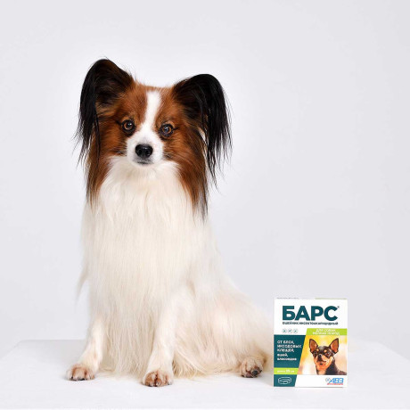 Барс Ошейник от блох и клещей для собак мелких пород АВ729 x60