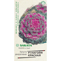 Капуста декор. Нагойя красная Саката Гавриш Ц